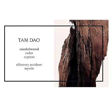 Diptyque tam dao perfume 75 ml men